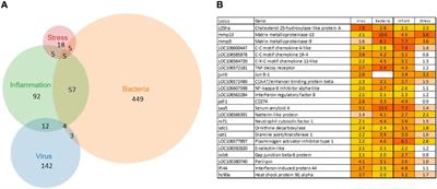 Transcriptome Responses of Atlantic Salmon (Salmo salar L.) to Viral and Bacterial Pathogens, Inflammation, and Stress